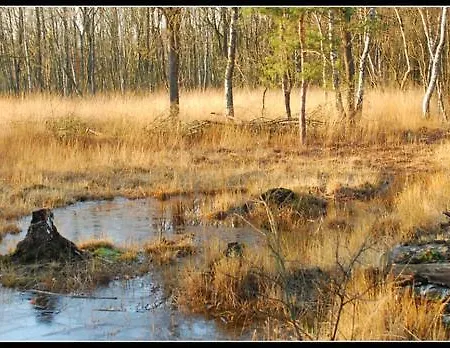 In De Bedstee Magie!