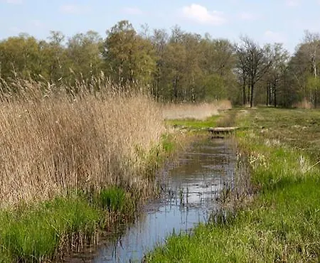 In De Bedstee Magie!