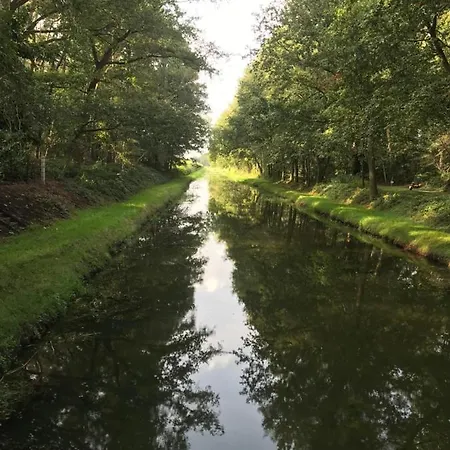 度假居 In De Bedstee Magie! 温特斯韦克