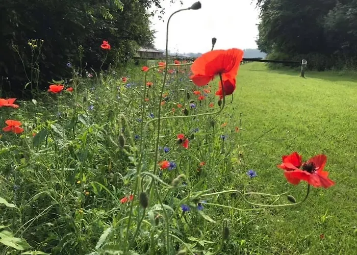 In De Bedstee Magie! Сasa de vacaciones *