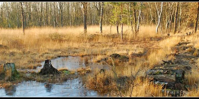 In De Bedstee Magie!