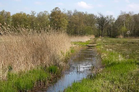 In De Bedstee Magie!