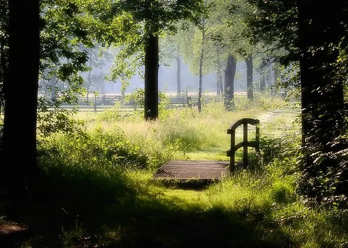 In De Bedstee Magie! Сasa de vacaciones *